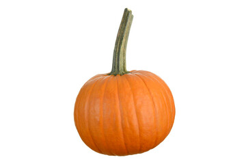 Pumpkin isolated on a white background.