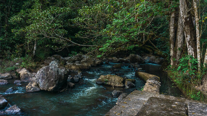 Naklejka na ściany i meble Beautiful river in the forest Honduras Central America