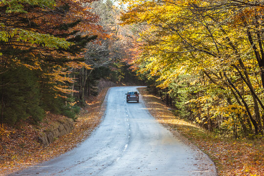 USA, Maine, Mt. Desert Island. Acadia National Park Road.