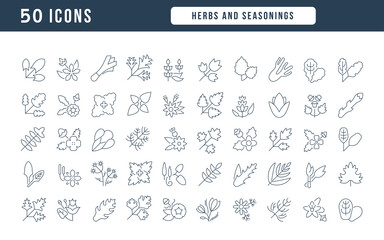 Set of linear icons of Herbs and Seasonings