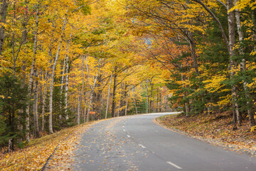 USA, Maine, Mt. Desert Island. Acadia National Park road.