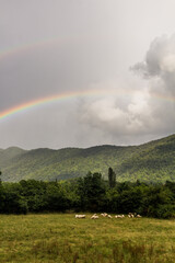 Rainbow in mountains near Zaqatala, Azerbaijan