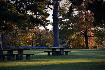bench in autumn park at early morning time in east texas