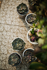 beautiful and cozy bright easter table decoration
