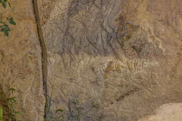 Ancient rock carvings in Gobustan petroglyph reserve, Azerbaijan
