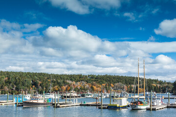 Fototapeta premium USA, Maine, Mt. Desert Island. Northeast Harbor, fishing boats during autumn.