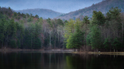 A soft woodland scene at Lake Arrowhead in the Shenandoah Valley nestled next to Shenandoah National Park.