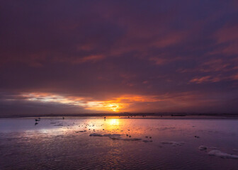 sunset at low tide