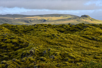A moss-covered lava field near Kirkjubaejarklaustur, South Iceland.