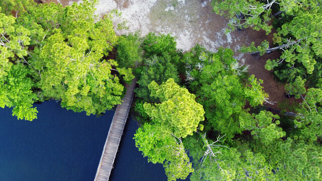Island Boardwalk