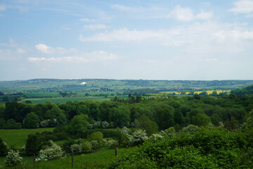 Fototapeta na wymiar イギリスの田舎　丘陵地帯　屋外の自然風景