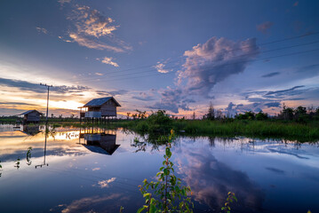 Fototapeta premium Morning View Petuk Ketimpun Swamp Palangka Raya Central Kalimantan