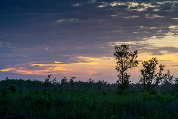 Morning View Hanjelutung Lake 
Palangka Raya 
Central Kalimantan