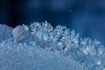 Iceflowers on the window