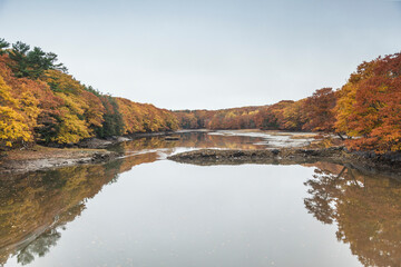 USA, Maine Georgetown. Robinhood Cove during autumn.