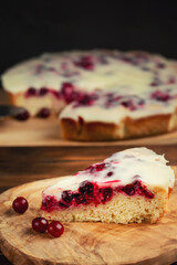 Homemade cake with cranberries and sour cream. Piece of pie close up. Vertical image