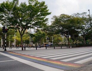 Tree next to the traffic light in the passage of people on the street of Medellin. Colors in the passage of cars