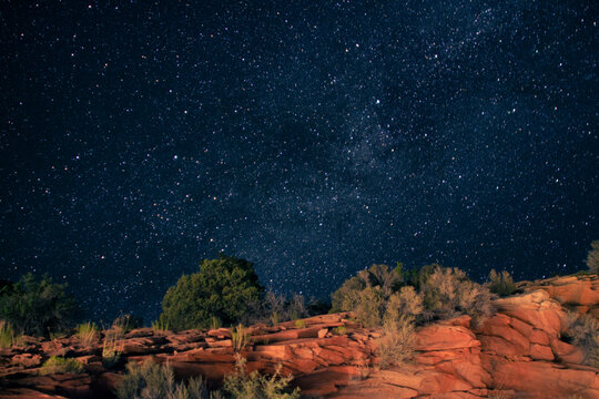 Natures Stars