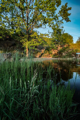 Obraz premium Sommer in the park
