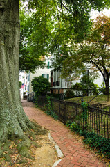 Colonial architecture in historic Annapolis, MD.