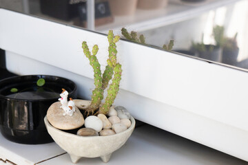 Mini plant pot on counter