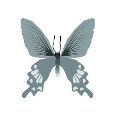 Vector illustration of butterfly cartoon on white background - 419283963