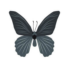 Vector illustration of butterfly cartoon on white background - 419284115