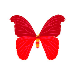 Vector illustration of butterfly cartoon on white background - 419284170