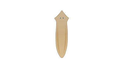 Planarian