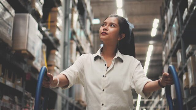 Asian woman with shopping cart walking for choosing new furniture in big store warehouse.