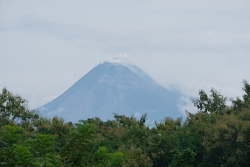 Plakat merapi mountain with tree on foreground