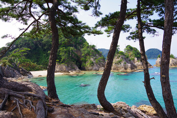 日本　松原と日本海の景色　鳥取県浦富海岸
