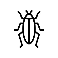 insect