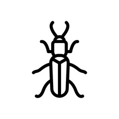 insect