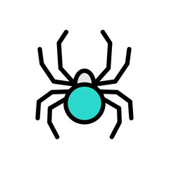 spider