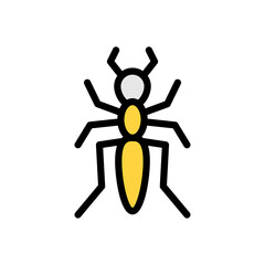insect