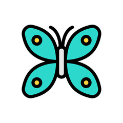 butterfly