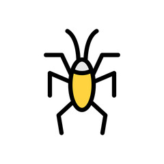 insect