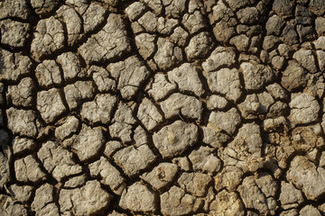 Cracks in the ground. Earth in a hot summer.