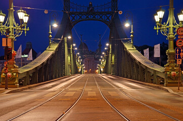 Obraz premium Liberty Bridge in Budapest