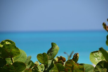 Scenery of the north coast of Cuba