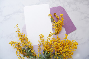 Spring greeting concept. Mimosa flowers decoration with purple letter set. Spring background. 春のグリーティング、ミモザとカードセット、春のお便り