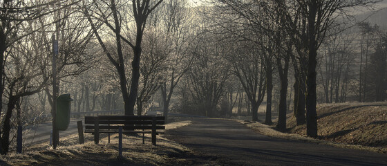 Ein kalter Wintertag und vereiste Baumkronen.
