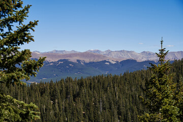 Mountain range view past pine trees.