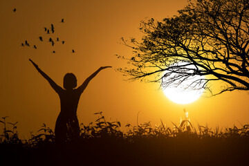 Silhouette happy woman open arm and bigtree with birds at sunset