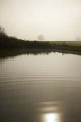 Obraz na płótnie Canvas Foggy Morning at the pond