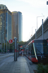 Sydney Trams 
