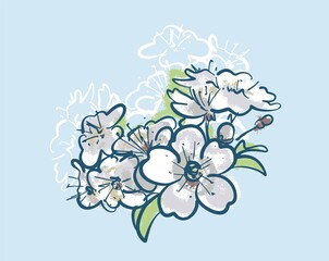 Illustration. Cherry blossoms or a sprig of cherry blossom. Sketch on an isolated background.