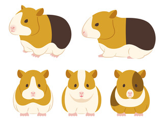 モルモットのイラスト