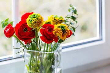 Bunch of red and yellow ranunculus flowers. Spring flowers for valentine's day, mother's day or international women's day.
